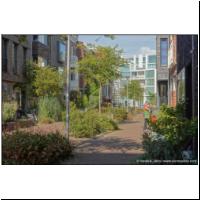 2025-09-08 Nieuw Delft, Coendersbuurt 15.jpg